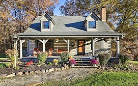 Luxe Dog-Friendly Cabin With Hot Tub And Game Room